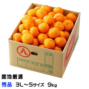 Ε ݂ B݂ YnI Gi 3L`STCY 9kg  ~J Mtg 