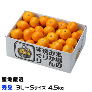 ݂ B݂ YnI Gi 3L`STCY 4.5kg  ~J Mtg 