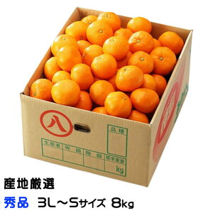 Ε ݂ B݂ YnI Gi 3L`STCY 8kg  ~J Mtg 