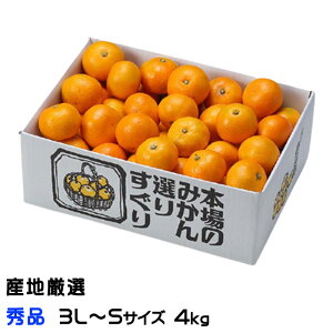 ݂ B݂ YnI Gi 3L`STCY 4kg  ~J Mtg 