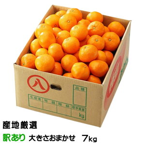 ݂ B݂ YnI ̂ Ɩ󂠂 傫܂ 7kg  ~J Mtg 