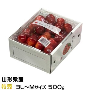 ���i�摜