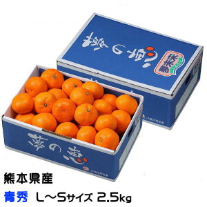 Ε ݂ ̌b G L`STCY 2.5kg v~A݂ x12xȏ JAF{s   ~J Mtg