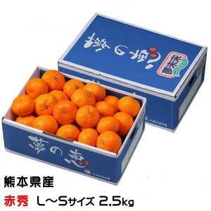 ݂ ̌b ԏG L`STCY 2.5kg v~A݂ x12xȏ JAF{s   ~J Mtg