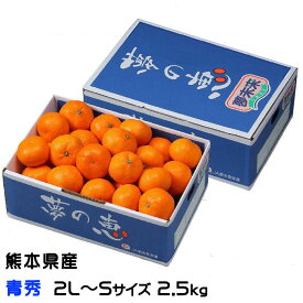 みかん 夢の恵 青秀 2L〜Sサイズ 2.5kg プレミアムみかん 糖度12度以上 JA熊本市 夢未来 蜜柑 ミカン ギフト