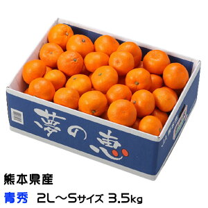 Ε ݂ ̌b G 2L`STCY 3.5kg v~A݂񓜓x12xȏ JAF{s   ~J Mtg