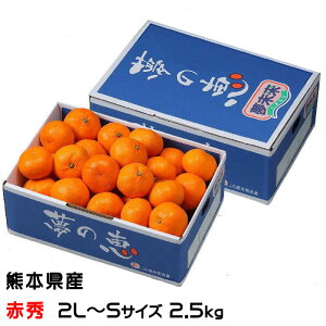 Ε ݂ ̌b ԏG 2L`STCY 2.5kg v~A݂ x12xȏ JAF{s   ~J Mtg