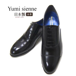 amC rWlXV[Y ~WFk Yumi Sienne 8305 Xg[g`bv[X H YS-8305 C jR