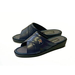 T_ Y ₷ }^C Marutai 650    3E { y L GOK ֗ ItBX Г   [h wbv RtH[gT_ ̓ hV