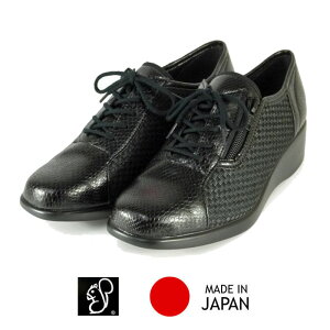 X}[N C fB[X ₷ ₷ 3304 { 㓡Y t@Xi[ EGbW\[ ̓ hV̓ Mtg v[g