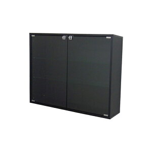 RNVP[X RNVbN DIO fBI Ch u t NEW nƋ tBMAbN KXP[X fBXvCbN ( 90cm s28cm ^ zCg , ubN , uE