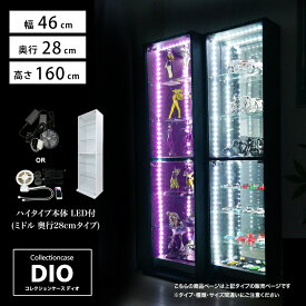 コレクションケース お得なセット コレクションラック DIO ディオ 本体 鍵付 RGB対応LED付き NEW 地球家具 フィギュアラック ガラスケース ディスプレイラック ( 奥行28cmタイプ 中型 ホワイト , ブラック , ブラウン )