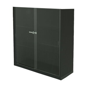 RNVP[X RNVbN nƋ DIO fBI  Ch u t NEW tBMAbN KXP[X fBXvCbN ( 90cm s18cm ^ zCg , ubN , 