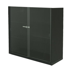 RNVP[X RNVbN nƋ DIO fBI  Ch u t NEW tBMAbN KXP[X fBXvCbN ( 90cm s28cm ^ zCg , ubN , 