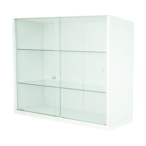 RNVP[X RNVbN nƋ DIO fBI  Ch u t NEW tBMAbN KXP[X fBXvCbN ( 90cm s38cm [^ zCg , ubN , 