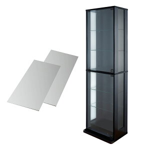 RNVbN ʃKX^Cv ~hnC^Cv DIO fBI { t NEW RNVP[X KXP[X fBXvCbN i{ + wʃ~[ Zbgj ( s28cm^Cv ^ 