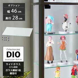 地球家具 コレクションラック DIO ディオ 側面ガラスタイプ専用 追加ガラス棚板 単品 （ ガラス棚板のみ） ( 奥行28cm用 中型 ) コレクションケース ガラスケース ディスプレイラック