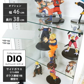 地球家具 コレクションラック DIO ディオ 側面ガラスタイプ専用 追加ガラス棚板 単品 （ ガラス棚板のみ） ( 奥行38cm用 深型 ) コレクションケース ガラスケース ディスプレイラック
