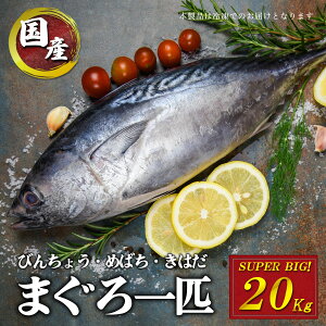 Ē C̋ Y }O ܂邲 C 20kg 喎 } Ⓚ CN hg i Ђ CL {̊CN VN Ɩp HX X Ⓚ̂߉𓀁AۊǂɒӁ