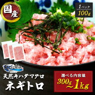焼津 海の極 絶品 マグロのたたき 静岡県焼津市製造 海伸 本場の海鮮グルメ キハダマグロ ネギトロ お刺…