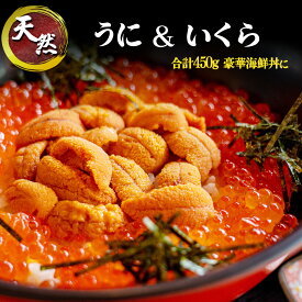 豪華 うに いくら丼セット 本場の海鮮グルメ 紅鮭いくら 醤油漬け ミョウバン不使用ウニ 冷凍 家庭用 贈り物 ギフト お中元 お歳暮 誕生日 焼津 海の極
