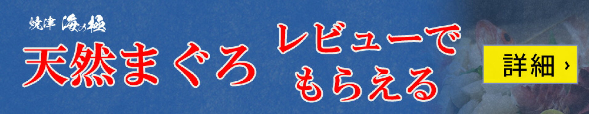 レビューで海の極商品プレゼント