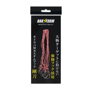 JX^ ^Co p tbN  10{Zbg BAKSTORM oNXg