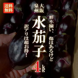 大阪泉州産水茄子　約4kg（15～28個入り）　不揃いですがお買い得品です！【刺身　水茄子　水なす　水ナス　泉州水茄子　泉州　大阪　家庭用　絶品　】