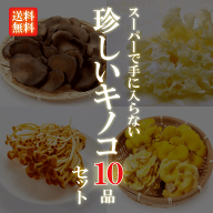 【目利きのプロが厳選した】珍しいキノコ10品セット 単品商品同梱可能 セット 詰め合わせ 旬 新鮮 安心 …