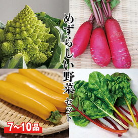 楽天市場】【目利きのプロが厳選した】珍しい野菜セット【7品or10品 