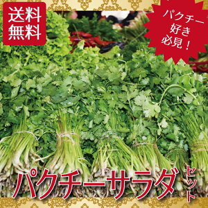 パクチー 野菜 きのこの人気商品 通販 価格比較 価格 Com