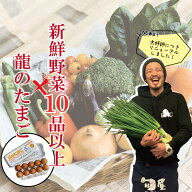新鮮野菜10品以上＆龍のたまご【苦手な野菜は入れません 10種以上確約 おまかせ 単品同梱可能 野菜セット…