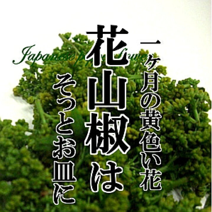 楽天市場 楽天1位受賞 花山椒100g 順番に発送中です 予約 4月入荷次第 順次発送商品 花ザンショ 山椒 単品 野菜 国内産 日本産 国産 新鮮 佃煮 高級 食材 新鮮野菜とフルーツのお店 旬屋