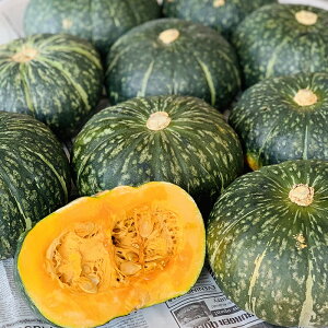かぼちゃ 1個の通販 価格比較 価格 Com