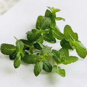 ミント 野菜 きのこの人気商品 通販 価格比較 価格 Com ミント 野菜 きのこの人気商品 通販 価格比較 価格 Com