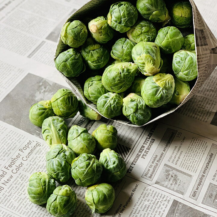 楽天市場 楽天1位受賞 芽キャベツ 0ｇ 約10個 芽きゃべつ スポロ お取り寄せ野菜 美味しい めずらしい野菜 珍しい かわいい おしゃれ 新鮮野菜とフルーツのお店 旬屋