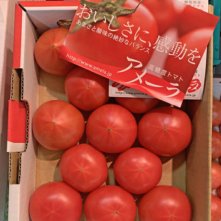 楽天市場】【送料無料】高糖度フルーツトマト アメーラ 【1ケース 