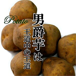 男爵芋 L〜3Lサイズ 1ケース（10kg）【国内産 日本産 じゃがいも ジャガイモ じゃが芋 箱売り 常備野菜に まとめ買い 備蓄】