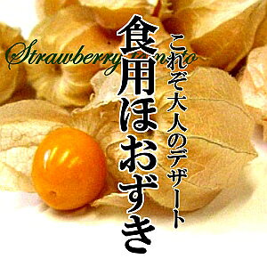 Xgx[g}g@1PAC(12`20)100g@yg}g///Mtg/i/zIYL/t[c/t[czIYL/IW`F[/Sz