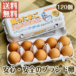 卵 お中元の通販 価格比較 価格 Com