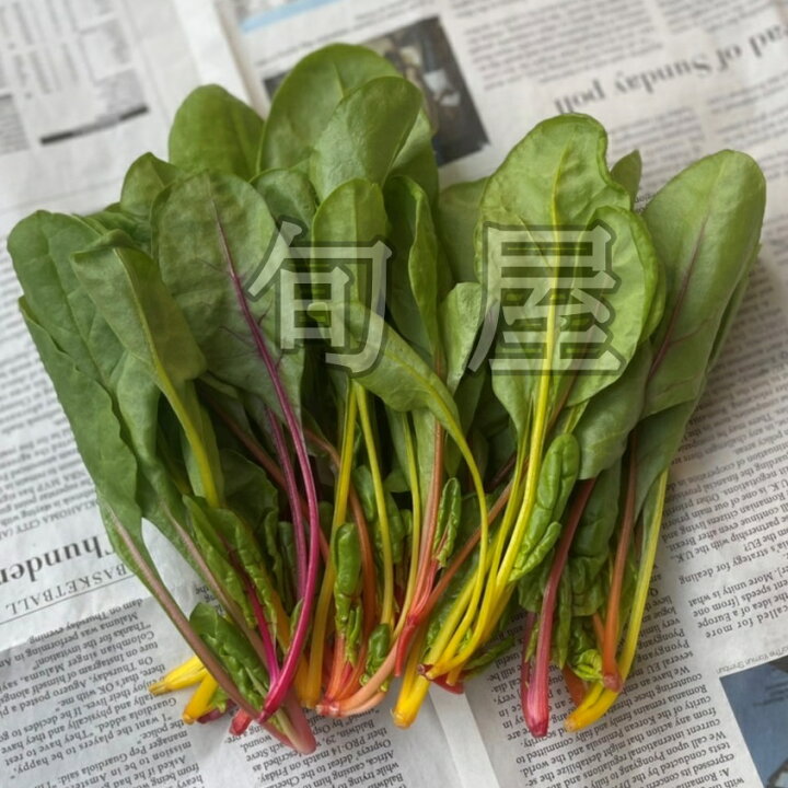 楽天市場 スイスチャード 1束 不断草 フダンソウ カラフル サラダ 鮮やか インスタ映え めずらしい野菜 新鮮野菜とフルーツのお店 旬屋