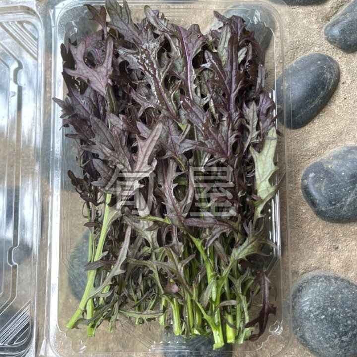 楽天市場】ツリーレッドマスタード 1PAC（約20g）【久保田農園 福岡県 
