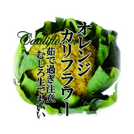 オレンジカリフラワー　1個【サラダ／インスタ映え／お取り寄せ／単品／野菜／カラフル／新鮮／おしゃれ】