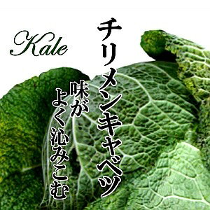 y11`4ׁz߂Lxc@1yT{CLxc^kɃLxc^ׂ^T_^CX^f^񂹁^Pi^؁^Jt^VN^^߂炵^t