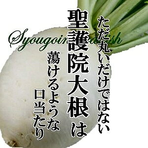 @卪@1y傤卪^ۑ卪^ۑ卪^T_^CX^f^񂹁^Pi^؁^VN^^߂炵z