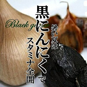 yzɂɂ 1pbNi10jyjjN  ߂炵 ς n X^~i e Nz