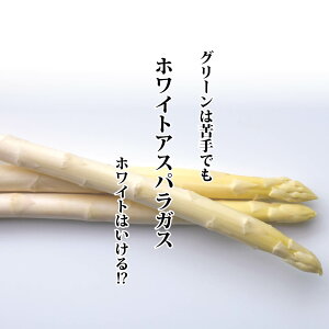 zCgAXpKX 1 i10{OjyAXpKX OY y[  Pi   Â 炩 W[V[ t` C^Az