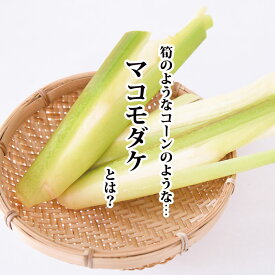 マコモダケ （約2kg）（14～26本）【真菰筍 まこもだけ まこも茸 マコモ茸 珍しい野菜 めずらしい 変わった野菜】