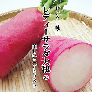 y11ׁzfB[T_卪@1{yfBT_^T_^CX^f^񂹁^Pi^؁^Jt^VN^^r^~^^z