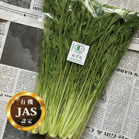 有機JAS認定 水菜 1パック【みずな ミズナ 国産 有機栽培 生 オーガニック 安心 安全 サラダ】